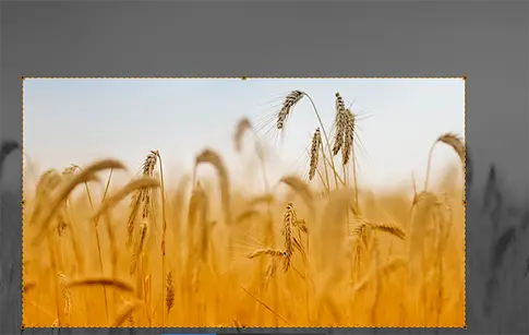 Cropping Images with JCrop