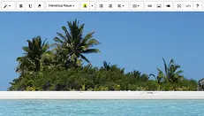 WYSIWYG Editor with Summernote