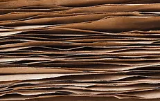 Auditing with Paper Trail