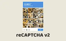 reCAPTCHA v2