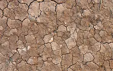 DRY up your Javascript