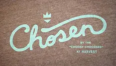 Javascript Select Form Fields with Chosen