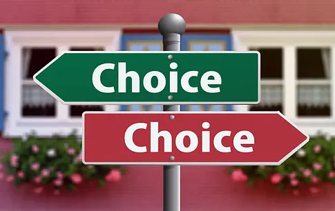 Dynamic Select Fields